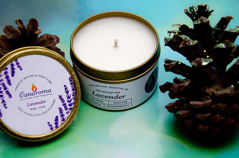 Candroma Lavender - Image 5